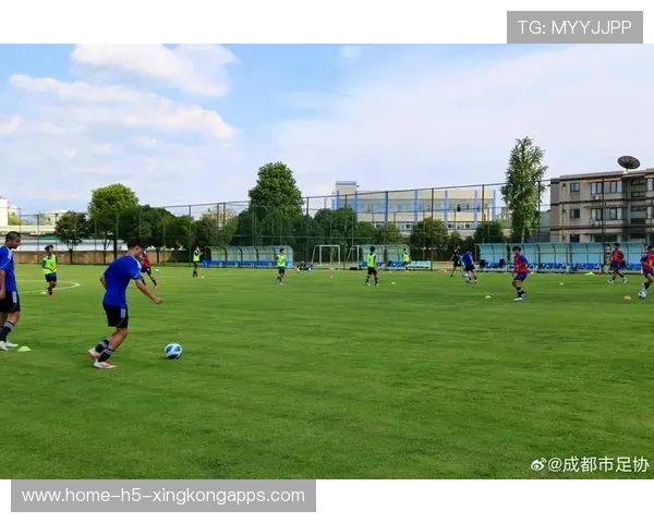 新人辈出五大联赛未来之星备受关注,未来之星足球队 新人辈出五大联赛未来之星备受关注,未来之星足球队