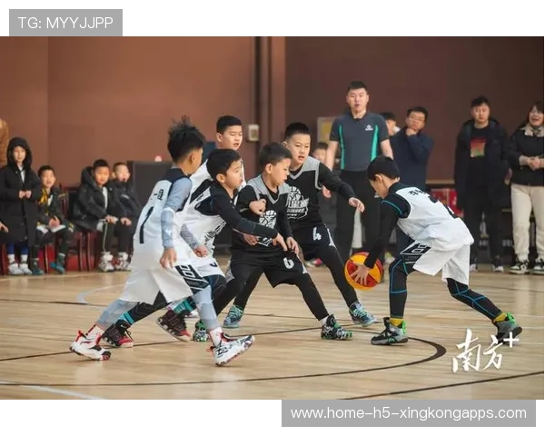 篮球少年书写属于自己的传奇,篮球少年的故事 篮球少年书写属于自己的传奇,篮球少年的故事